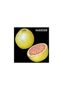 Retail Store Item Mini Deco Sticker Fruits