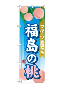 Banner 3 4 6 Fukushima