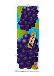 Banner 1 4 4 3 Grape Deep Purple
