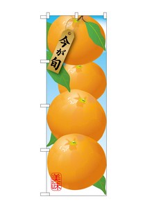☆G_のぼり SNB-1447 みかん オレンジ