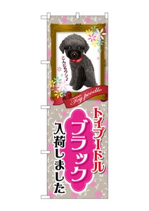 Store Supplies Banners Toy Poodle black
