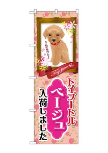 Banner Toy Poodle