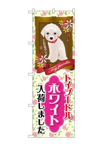 Store Supplies Banners Toy Poodle White