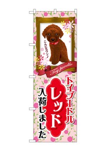 Store Supplies Banners Red Toy Poodle