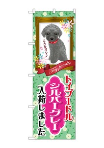 Store Supplies Banners Toy Poodle sliver