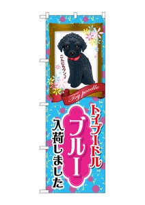 Store Supplies Banners Toy Poodle