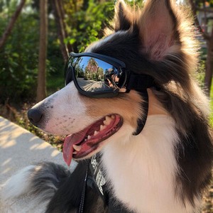 物眼鏡犬用品ゴーグル防水防風日焼け止め紫外線防止大犬メガネ	 18Goggles-01