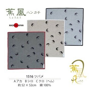 Handkerchief Swallow