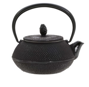 Nambu Tekki Japanese Tea Pot Arare Knob