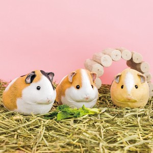 Guinea pig Puffy Pouch