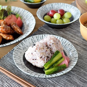 黒潮5.0皿【中皿 日本製 美濃焼 和食器】