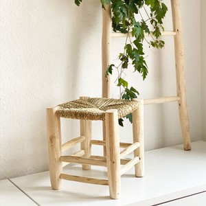 Orange Tree Natural Chair Dome