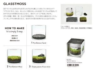 栽培セット グラストモスl 苔 の商品ページ 卸 仕入れサイト スーパーデリバリー 栽培セット グラストモスl 苔 の商品ページ 卸 仕入れサイト スーパーデリバリー