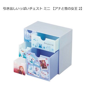 Accessory Case Frozen