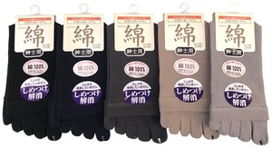 Crew Socks Series Spring/Summer Socks