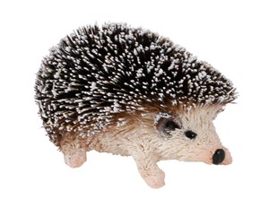 Scrub Animal Hedgehog Mix 8 1 1 4 9 1
