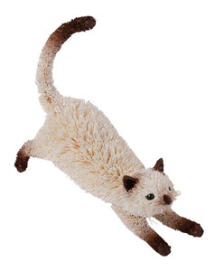 Scrub Animal cat 8 1 1 4 92