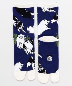 Crew Socks M Dog Made in Japan