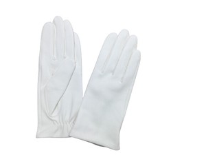 Party-Use Gloves Antibacterial Finishing Genuine Leather