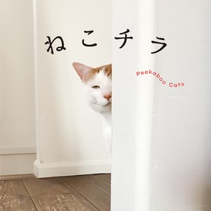 宠物/动物书籍 猫