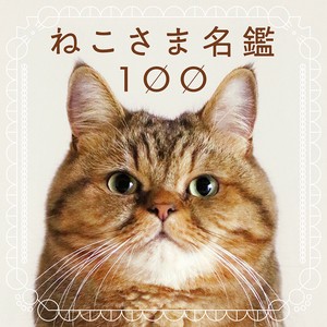 100 Cats, 100 Minds