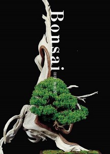 Art & Design Book bonsai