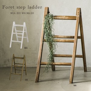 Space Production Wooden Interior Ladder