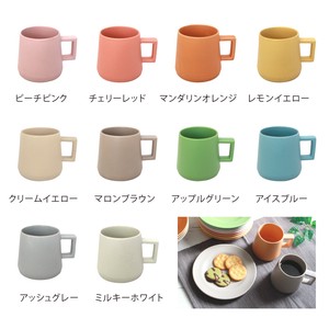 10 Colors Rule Mug Base