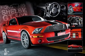 ■輸入ポスター■610X915mm★Easton Red Mustang GT500