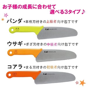 Little Chef Club Japanese Cooking Knife Each Type