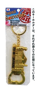 Key Ring Key Chain Series