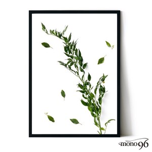アートポスター【LEAF01】B3　A2　B2　A1　B1　北欧　ボタニカル　植物　緑　写真　シンプル