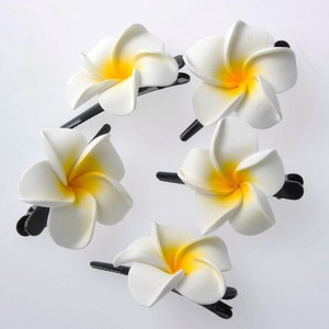 Hair Accessories White Set of 10