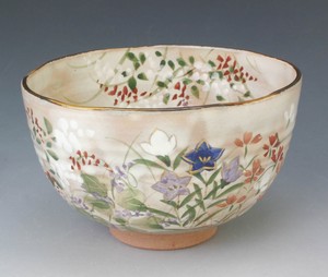 Kyo/Kiyomizu ware Rice Bowl Matcha Bowl Pottery Made in Japan