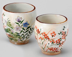 Kyo/Kiyomizu ware Japanese Tea Cup Pottery Made in Japan