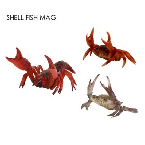 リアルな生き物マグネット★【SHELL FISH MAG】シェルフィッシュマグ