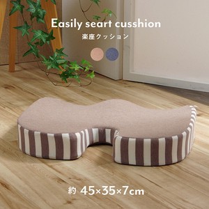 Cushion