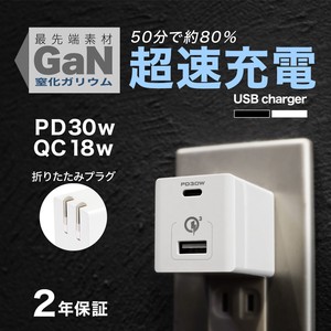 窒化ガリウム採用　2ポートAC充電器 PowerDelivery 30W Type-C ＋ QC18W USB Type-A (OWL-APD48C1A1G)