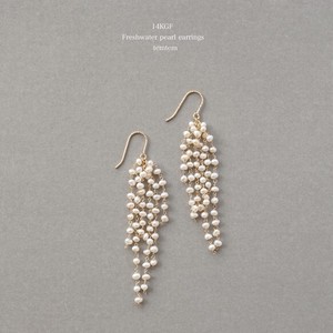 〔14kgf〕パールシャワーピアス(pearl pierced earrings)