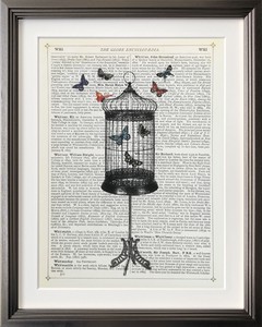 アートフレーム　マリオン・マコネギー Marion McConaghie Bird Cage & Butterflies