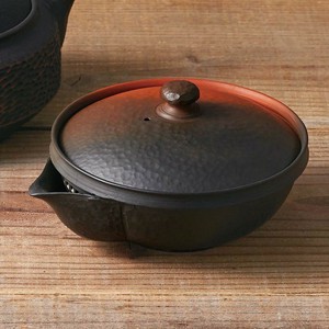 Tokoname ware Japanese Tea Pot