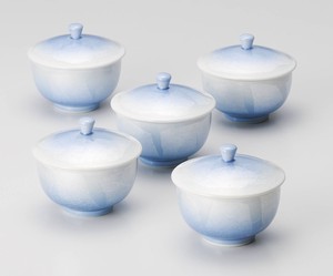 Kutani ware Japanese Teacup Porcelain Made in Japan