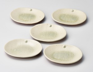 Shigaraki ware Small Plate Pottery Assortment Made in Japan