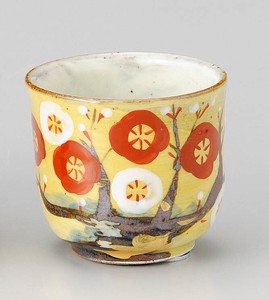 Hasami ware Japanese Teacup Pottery Made in Japan