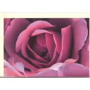 Greeting Card Germany Imports Rose