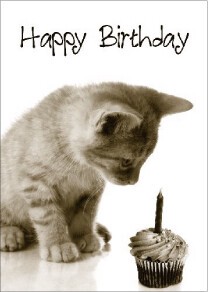 Postcard Happy Birthday Cat