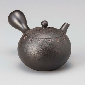Tokoname ware Japanese Teapot collection Tea Pot