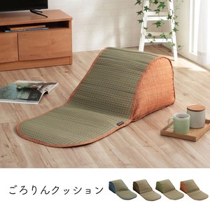 Cushion Anti-Odor Soft Rush Clear 48 x 90cm