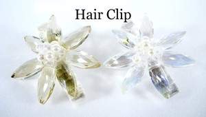 Clip Crystal
