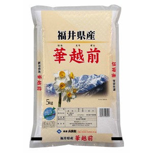 【送料無料】米 お米 精米　令和4年産福井県産華越前5kg